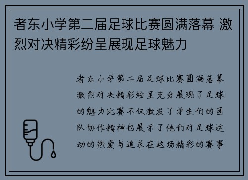 者东小学第二届足球比赛圆满落幕 激烈对决精彩纷呈展现足球魅力