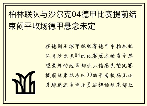 柏林联队与沙尔克04德甲比赛提前结束闷平收场德甲悬念未定