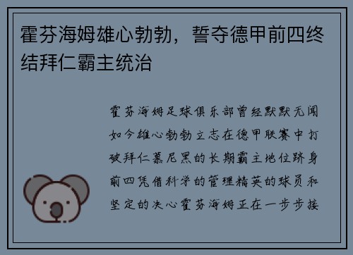 霍芬海姆雄心勃勃，誓夺德甲前四终结拜仁霸主统治