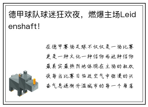德甲球队球迷狂欢夜，燃爆主场Leidenshaft！