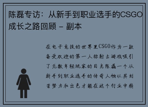 陈磊专访：从新手到职业选手的CSGO成长之路回顾 - 副本